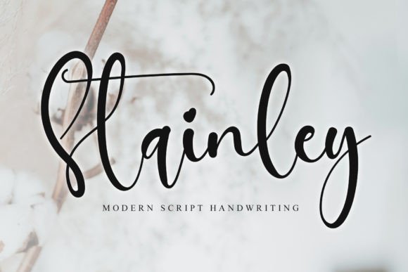 Stainley: A Script Font for Elegant Branding and Design
