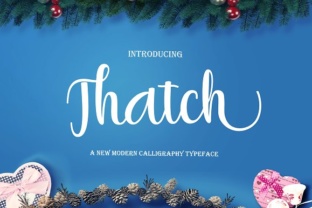 Thatch: A Script Font for Modern Branding